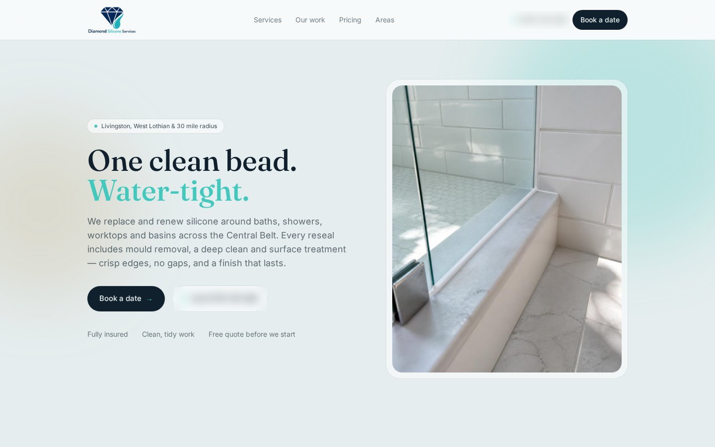 Diamond Silicon — Silicone Sealing & Renewal demonstration website preview